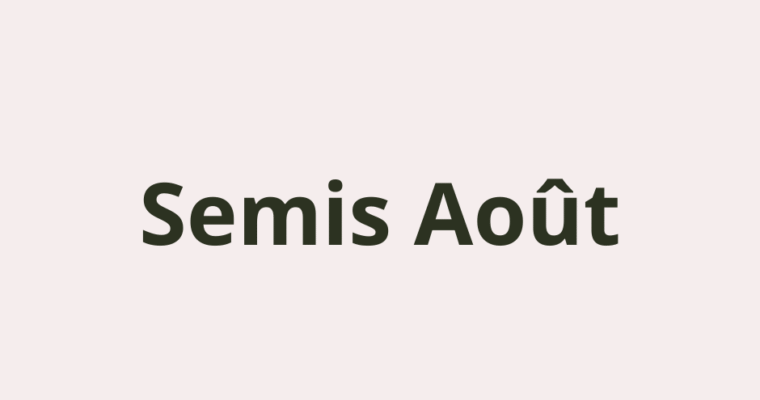 Quoi semer au potager en Août